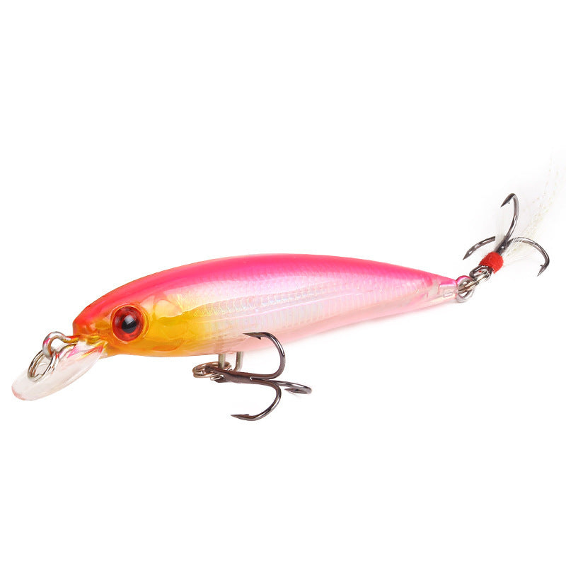 Luya Fish With Feather 9cm 7g Hard Bait