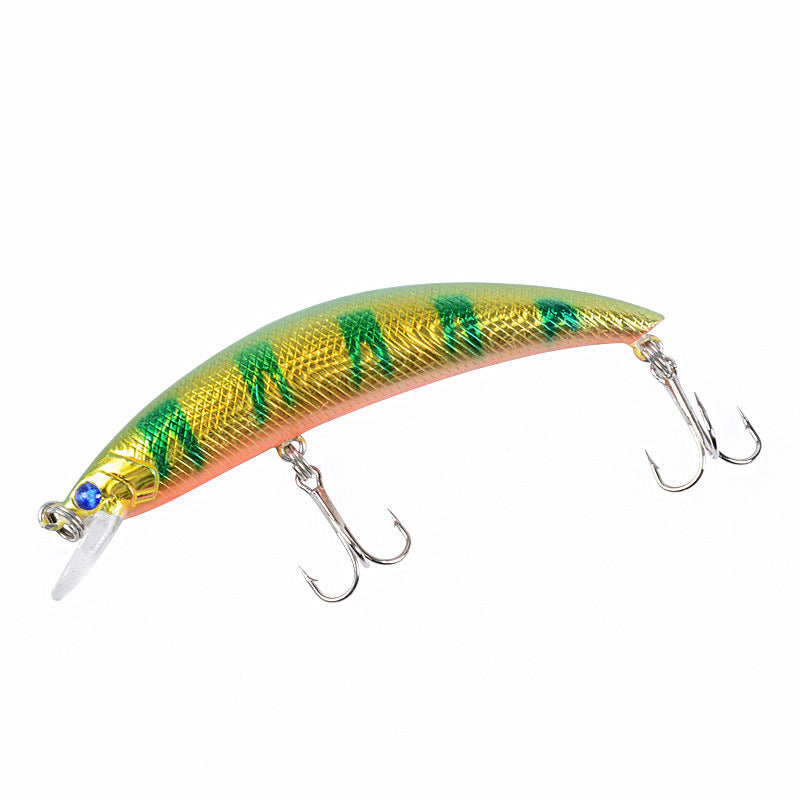 Bionic Fishing Bait Plastic Hard Bait