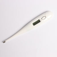 Thumbnail for Electronic thermometer