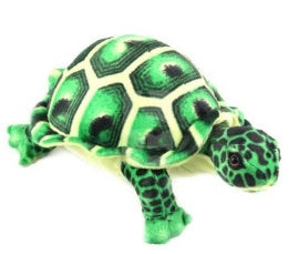 Tortoise Turtle Soft Stuffed Plush Toy