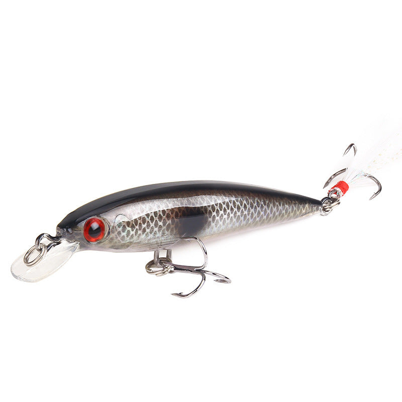 Luya Fish With Feather 9cm 7g Hard Bait